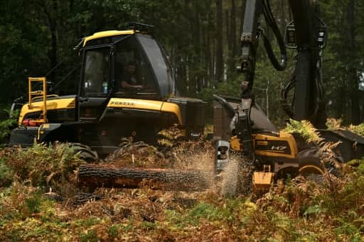 Une abatteuse forestière couche des pins pour ouvrir une ligne de défense contre l'incendie