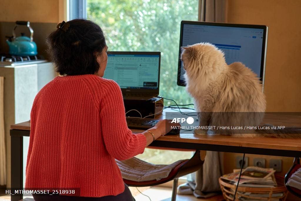 Une femme télétravaille depuis son domicile, installée devant un double écran sur un bureau en bois